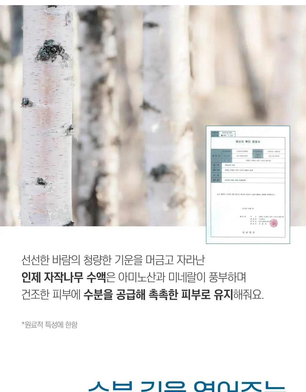 [1+1/수분썬] 라운드랩 자작나무 수분 선크림 50ml 더블 기획 상세페이지 10